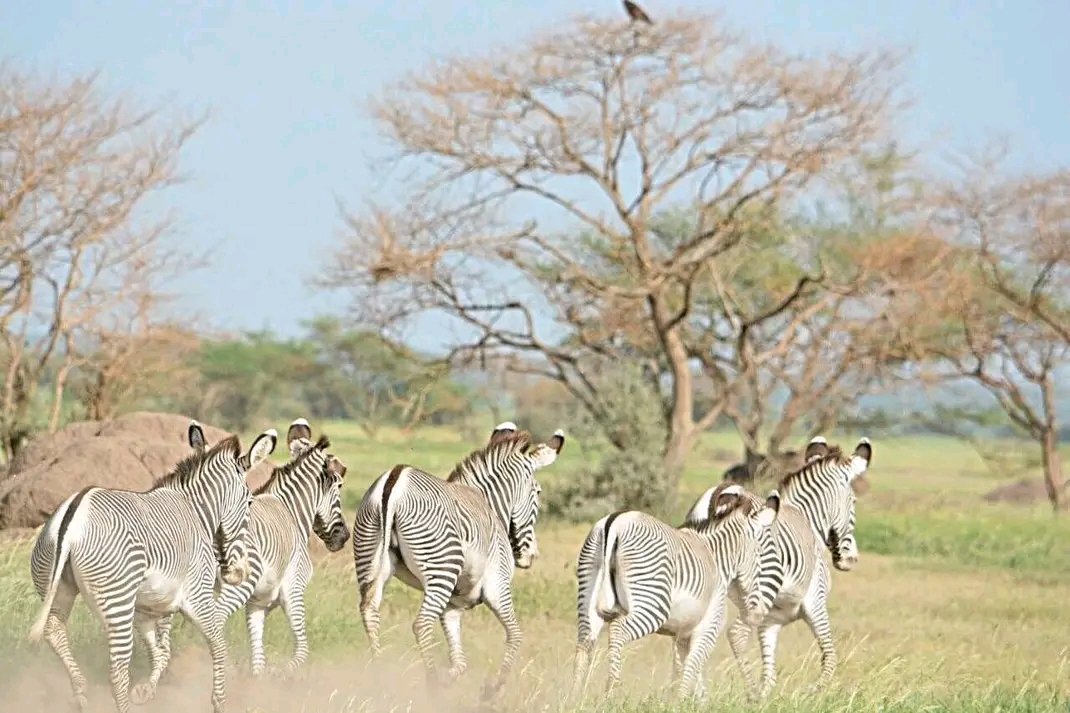 Beautiful Afar