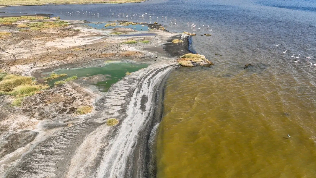 Afdera Salt Lake
